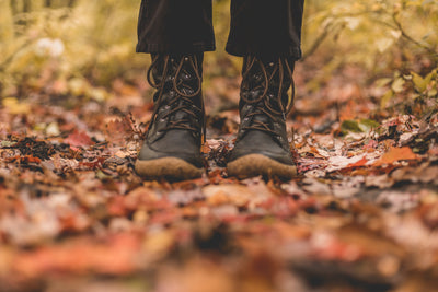 Herfstinspiratie - wijnen en gerechten voor het gezellige najaar